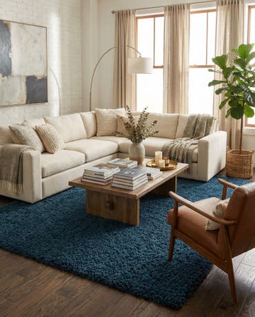  9' x 12' Solid Shag Rug