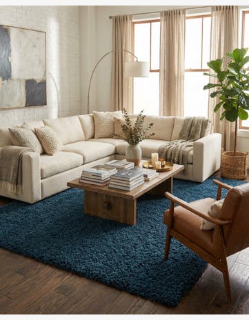 9' x 12' Solid Shag Rug