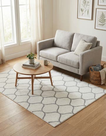 4' x 6' Lattice Frieze Rug