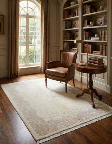 4' x 5' 11 Darya Rug