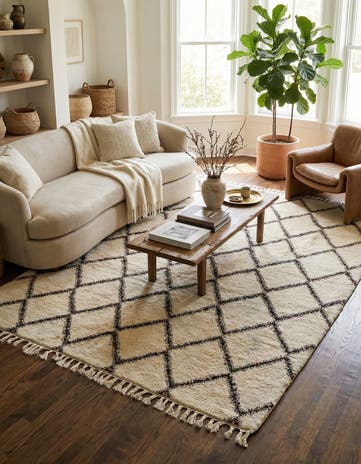 8' 9 x 11' 3 Hand Knotted Moroccan Wool Rug
