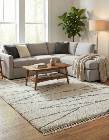 10' x 14' Serenity Shag Rug