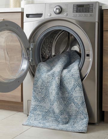 3' 3 x 5' 3 Kamala Washable Rug