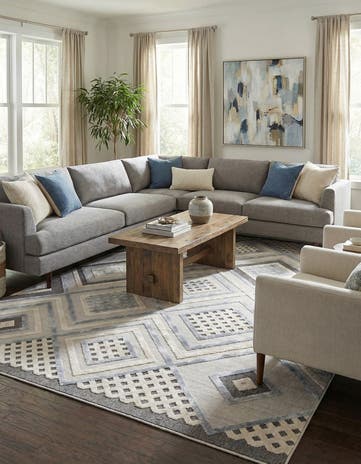 9' 10 x 14' Arlo Rug