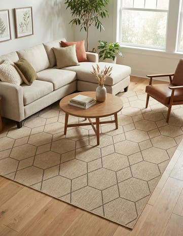 9' x 12' Dunes Rug