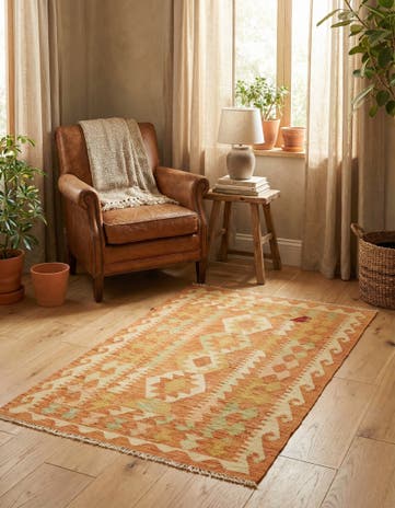 2' 5 x 4' 2 Hand Woven Kilim Waziri Wool Rug