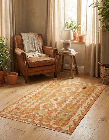 2' 5 x 4' 2 Hand Woven Kilim Waziri Wool Rug