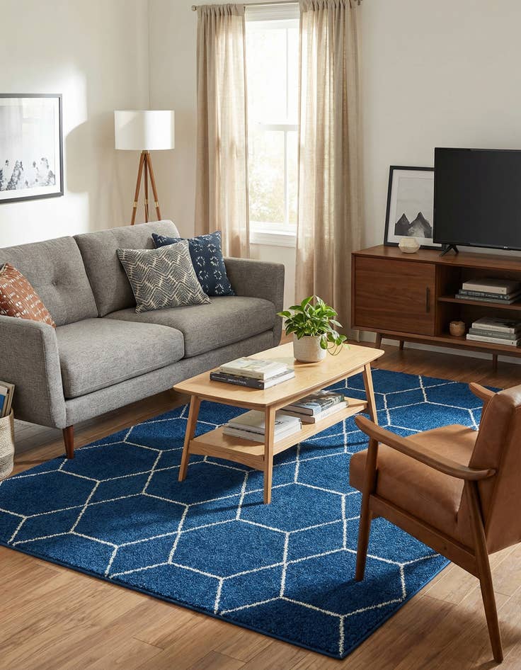 Detail image of  7' 10 x 11' Lattice Frieze Rug