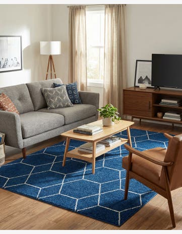 7' 10 x 11' Trellis Frieze Rug