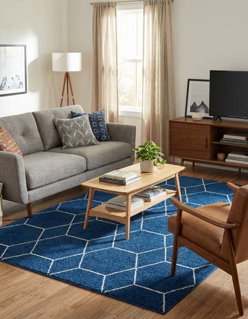 7' 10 x 11' Lattice Frieze Rug
