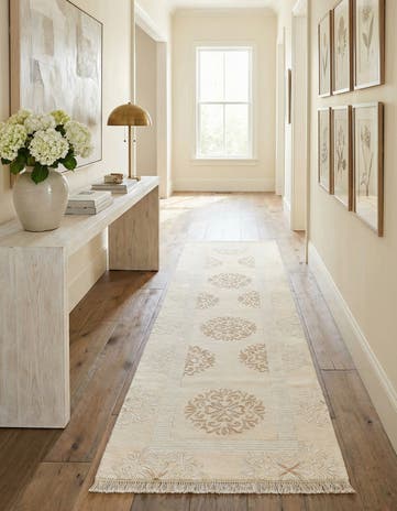 2' 8 x 9' 11 Darya Runner Rug