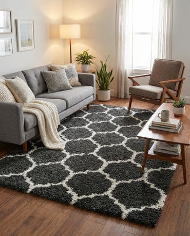  4' x 6' Athena Shag Rug