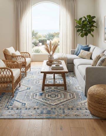 10' x 13' Charlotte Rug