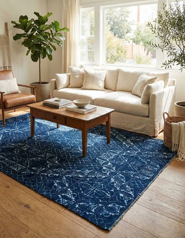 4' 9 x 7' 9 Hand Knotted Darya Rug