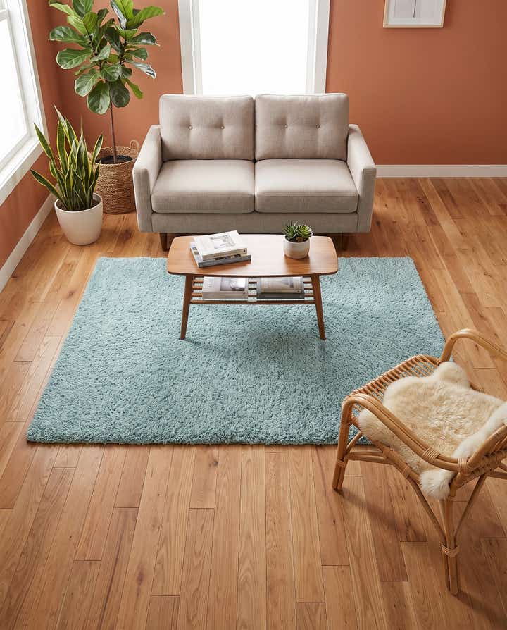 4' x 6' Soft Solid Shag Rug