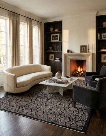 9' 6 x 13' 6 Hand Knotted Darya Wool Rug