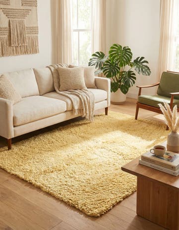 5' x 6' 3 Solid Shag Rug
