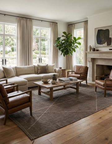 9' 8 x 14' Hand Knotted Darya Wool Rug