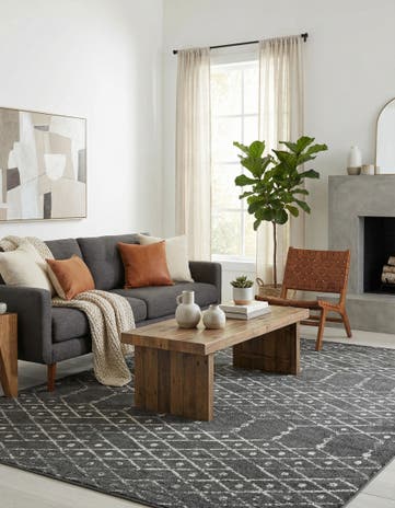 9' x 12' Paxon Trellis Rug