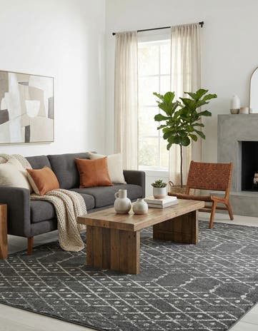 9' x 12' Paxon Trellis Rug