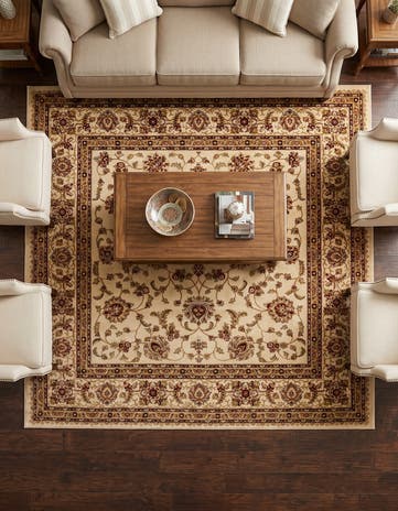 7' 10 x 7' 10 Aditi Square Rug