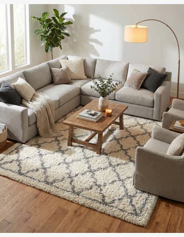 8' x 10' Infinity Shag Rug