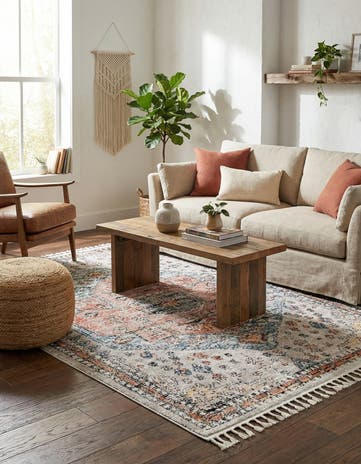 5' 3 x 8' Aramis Rug
