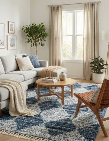 10' x 14' Serenity Shag Rug