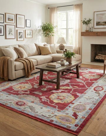 10' x 14' Paragon Rug