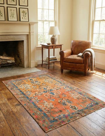 3' 5 x 6' 2 Hamedan Rug