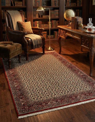 4' 9 x 6' 11 Bidjar Rug