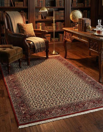 4' 9 x 6' 11 Bidjar Rug