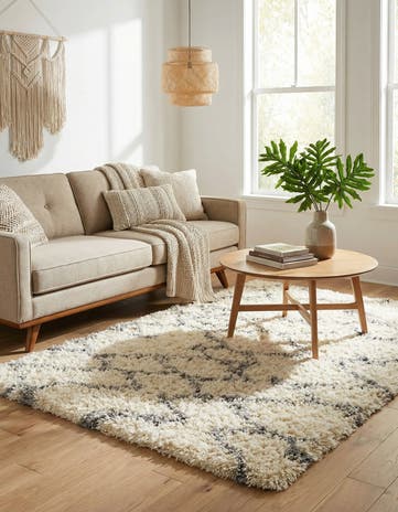 4' x 6' Infinity Shag Rug