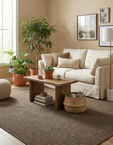 5' 5 x 8' Dunes Rug