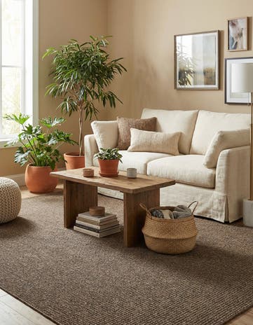 5' 5 x 8' Dunes Rug