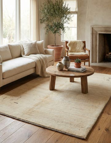 5' 2 x 6' 4 Hand Knotted Gabbeh Shouli Persian Wool Rug