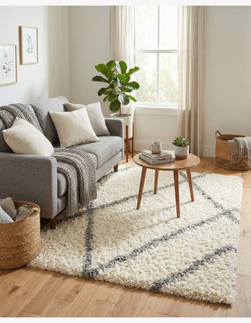 4' x 6' Infinity Shag Rug