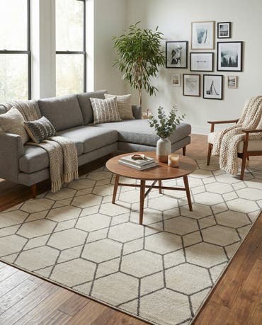  10' x 14' Lattice Frieze Rug