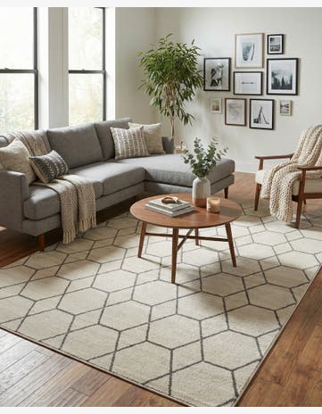 10' x 14' Trellis Frieze Rug