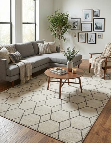 10' x 14' Lattice Frieze Rug