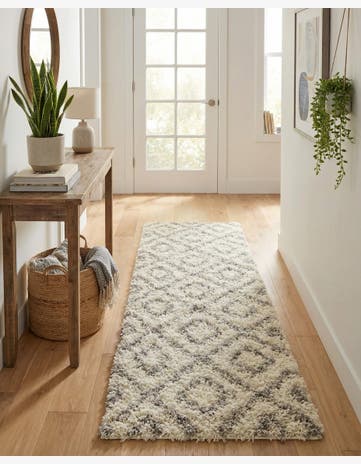 2' x 7' Trellis Shag Runner Rug