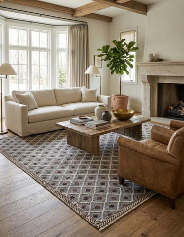 8' 2 x 10' 7 Hand Knotted Darya Wool Rug