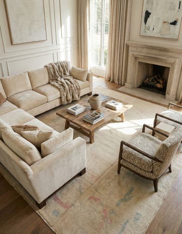 9' 9 x 13' 7 Hand Knotted Darya Wool Rug