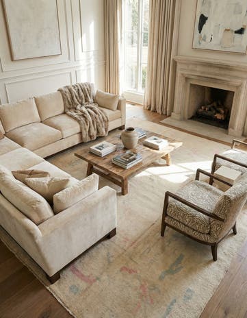 9' 9 x 13' 7 Hand Knotted Darya Wool Rug