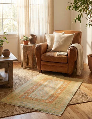 2' 8 x 4' 4 Hand Woven Kilim Waziri Wool Rug