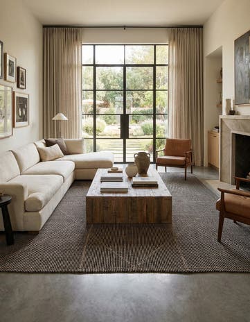 9' 9 x 14' Hand Knotted Darya Wool Rug