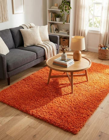 4' x 6' Solid Shag Rug