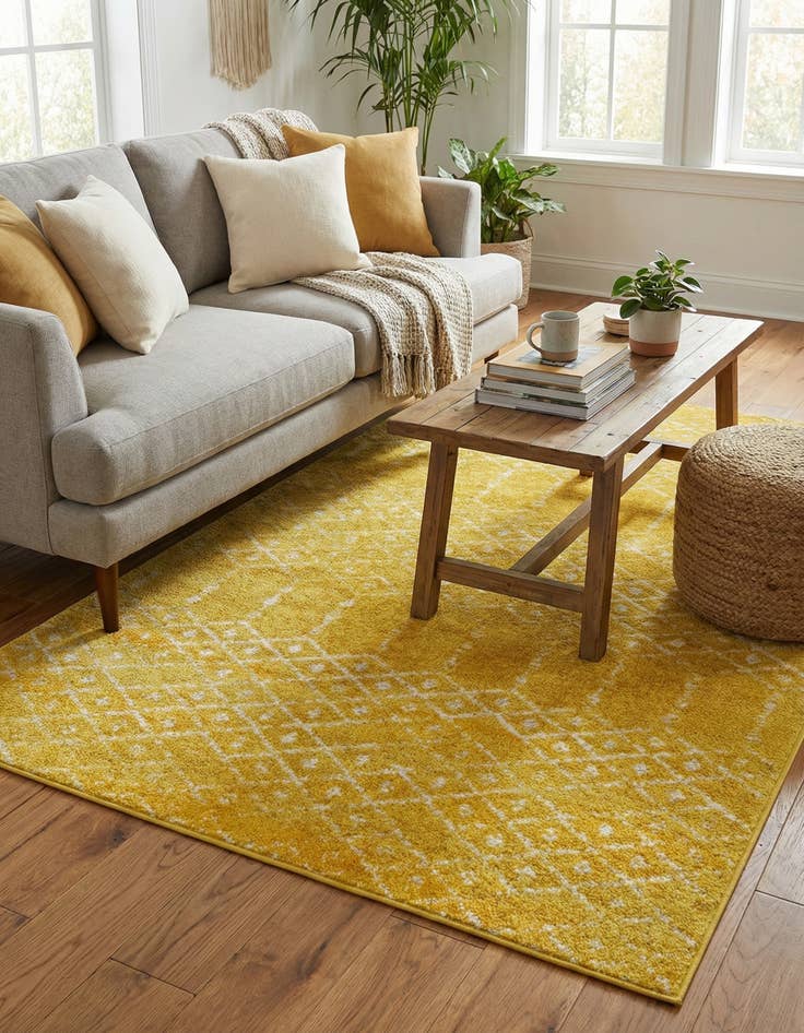 Detail image of  4' x 6' Paxon Trellis Rug