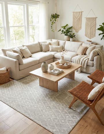 10' x 14' Paxon Trellis Rug