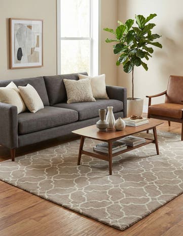 5' x 8' Luna Rug